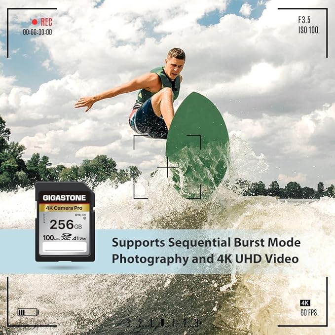 [5-Yrs Free Data Recovery] GIGASTONE 256GB SD Card with USB Type C Card Reader, 4K Camera Pro, A1 V30 U3 SDXC Memory Card Compatible with Canon Digital Camera, with 1 Mini case