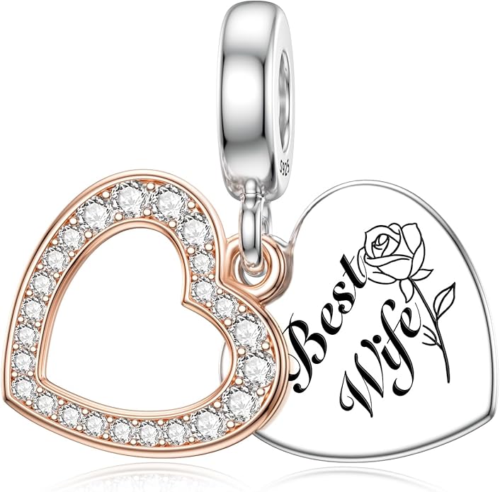 JIAYIQI Mother Sister Daughter Wife Charms Fit Charms Bracelet Necklace with Double Heart Love Charms 925 Sterling Silver Beads for Women Jewelry