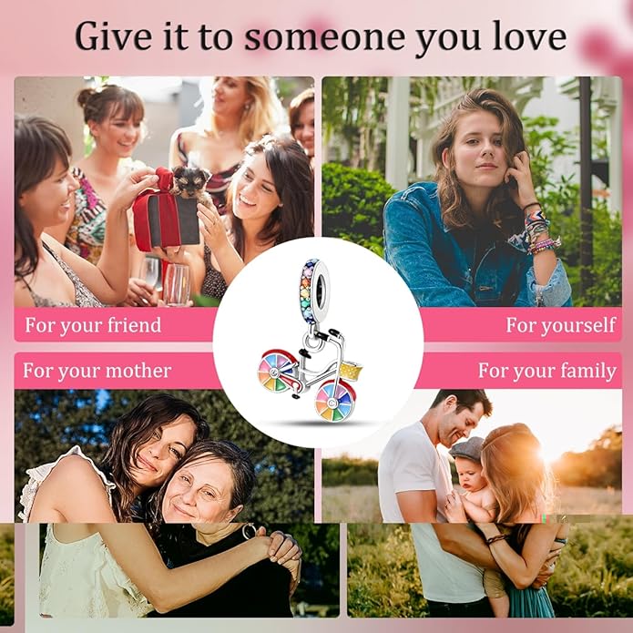 MULA 925 Sterling Silver Charms for Bracelets and Necklaces Airplane Passport Dangle Pendants Beads Butterfly Dragonfly Charms Jewelry Charm for Women