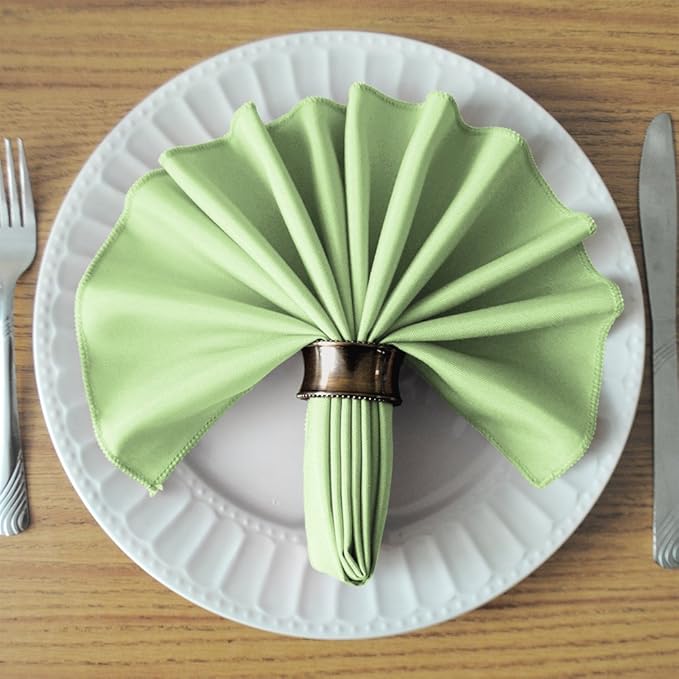 TableLinensforLess 17x17 Inch Polyester Cloth Napkins, Set of 12 (Mint)