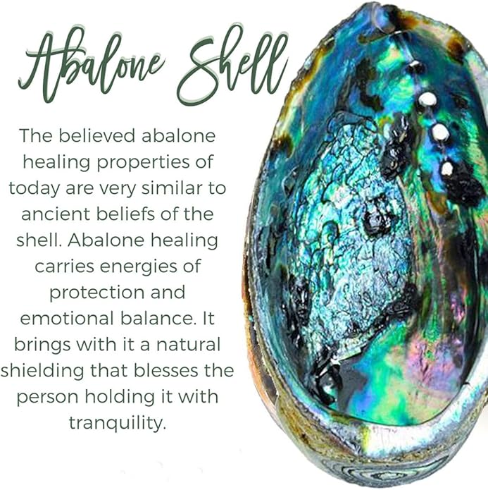 sedmart Tear Drop Abalone Shell Pendent Necklace Wire Wrap Abalone Shell Tree of Life Pendant Necklace Fashion Necklace Jewelry for Women handmade necklace mothers day necklace for mom jewelry