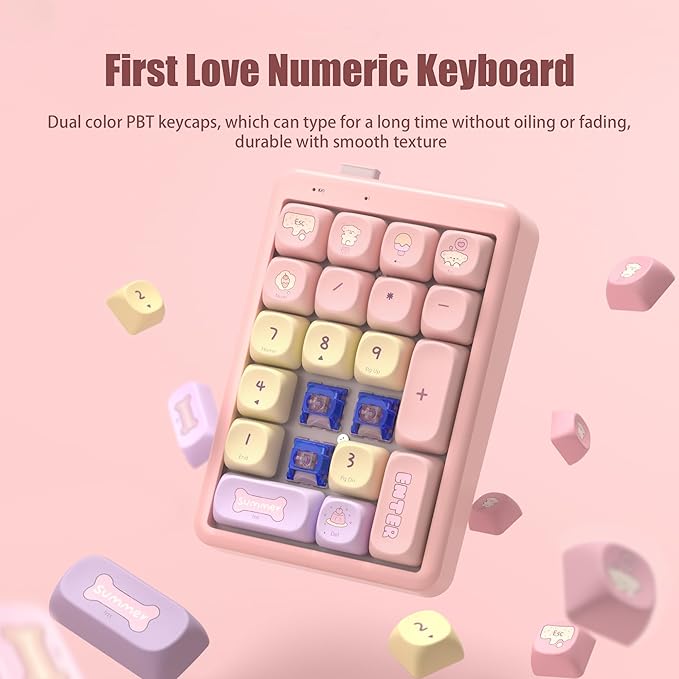 NumberPad,21Keys HotSwappable Numpad,Bluetooth5.0/2.4G/Type-C Wireless Numeric Keypad,Rechargeable Number keypad,RGB Gasket Structure Mechanical Keyboard with PBT Keycap for PC Laptop Notebook