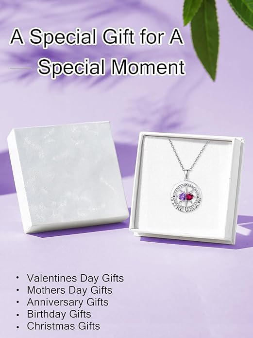 Compass Necklace for Women, Exquisite S925 Valentines Day Anniversary Birthday Gifts for Wife Her Double Birthstone Pendant Jewelry ‘I'd be Lost Without You’