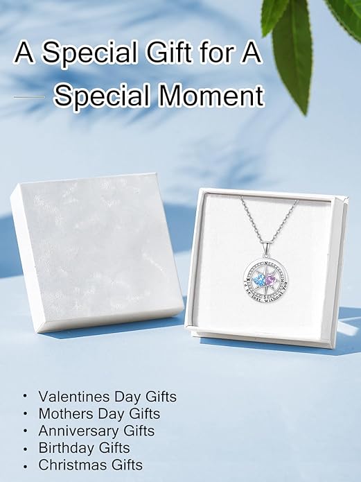 Compass Necklace for Women, Exquisite S925 Valentines Day Anniversary Birthday Gifts for Wife Her Double Birthstone Pendant Jewelry ‘I'd be Lost Without You’
