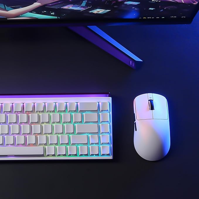R1 SE+ Wireless Gaming Mouse, 18000 DPI, High-Precision PAW3395 SE Sensor,55g Lightweight,Three Connection Modes Mouse, Programmable Ergonomic Mice Suitable for Laptops/PC/Mac (White)