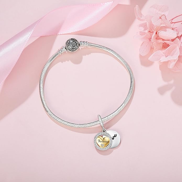 JIAYIQI Mother Sister Daughter Wife Charms Fit Charms Bracelet Necklace with Double Heart Love Charms 925 Sterling Silver Beads for Women Jewelry