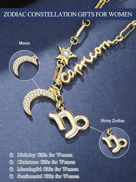 14K Gold/Rose Gold Zodiac Necklace for Women - Horoscope Constellation Pendant with Moon and Star, Luxury Birthday Gifts Jewelry for Her (12 Zodiac Signs)