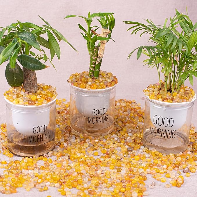 Polished Yellow Agate Crystal Chips 200 Pcs - 0.3" 10 oz Tumbled Stone Chips Crushed Sea Glass Stones Healing Reiki Crystal Making Home Decoration
