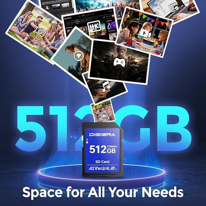 512GB LS100 SDXC UHS-I Memory Card - up to 170MB/s, C10, U3, V30, 4K UHD, SD Card for Computers, Digital Cameras, Home Theatre Devices, Car Navigation Systems (1 Pack)