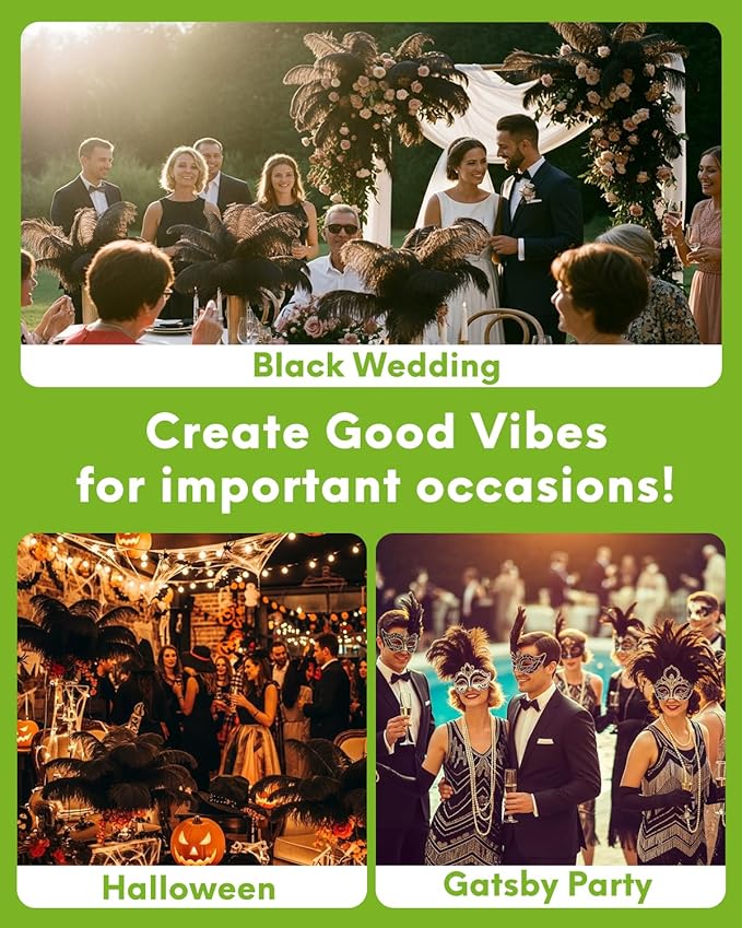 NEWONG 30pcs Black Ostrich Feathers Natural Bulk 9-12inch(23-30cm) Vase Craft Wedding Home Party Centerpieces Christmas Day Decoration
