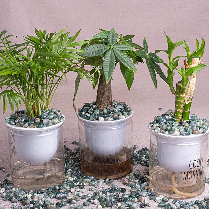 Polished Moss Agate Crystal Chips 200 Pcs - 0.3" 10 oz Tumbled Stone Chips Crushed Sea Glass Stones Healing Reiki Crystal Jewelry Making Home Decoration