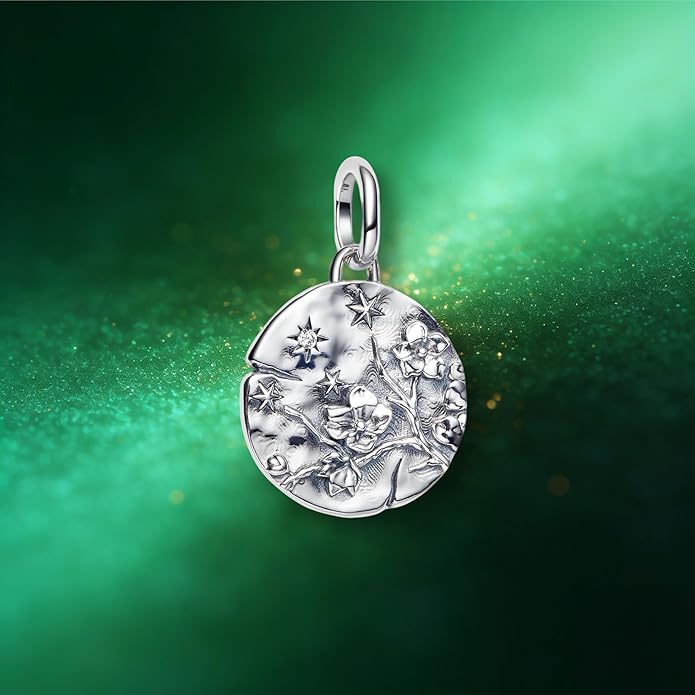 Fashion Charms Compatible for Bracelets,S925 Sterling Silver Charms,For Women Jewelry Present