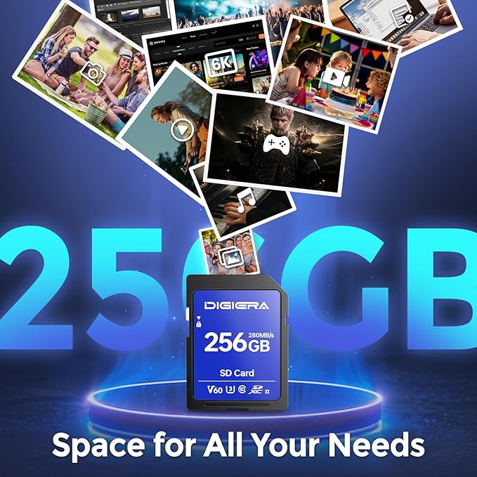 256GB LSU100 SDXC UHS-II Memory Card - up to 280MB/s, C10, U3, V60, 6K, SD Card for Computers, Digital Cameras, Home Theatre Devices, Car Navigation Systems (1 Pack)
