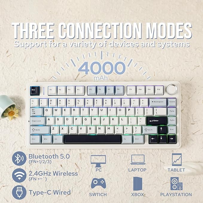 EPOMAKER x Aula F75 Gasket Mechanical Keyboard, 75% Wireless Hot Swappable Gaming Keyboard with Five-Layer Padding&Knob, Bluetooth/2.4GHz/USB-C, RGB (Light Blue, Crescent Switch)