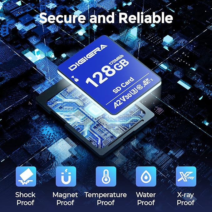 128GB LS100 SDXC UHS-I Memory Card - up to 170MB/s, C10, U3, V30, 4K UHD, SD Card for Computers, Digital Cameras, Home Theatre Devices, Car Navigation Systems (1 Pack)