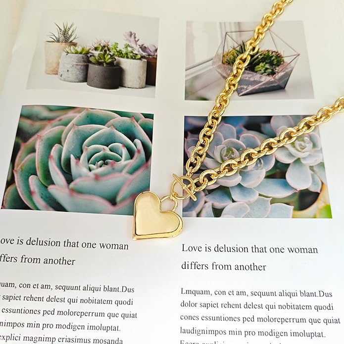Heart Necklace for Women Gold/Silver Plated Trendy Heart Choker Lover Pendant Hypoallergenic Fashion Gold/Silver Necklace for Women Love Jewelry Gift for Women Girlfriend