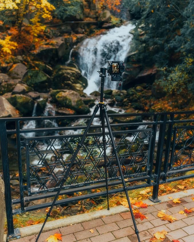 Vanguard VEO 5 264CB160S Carbon Fiber Tripod with VEO BH-160S Ball Head