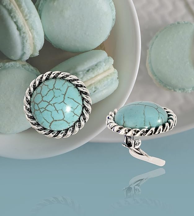 Spinningdaisy Clip On Earrings for Women | Non Pierced Earrings for Wedding