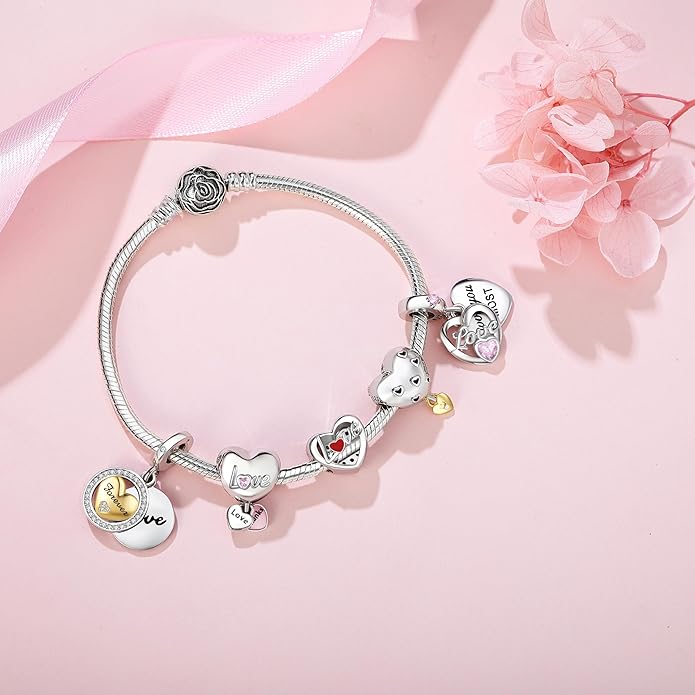 JIAYIQI Mother Sister Daughter Wife Charms Fit Charms Bracelet Necklace with Double Heart Love Charms 925 Sterling Silver Beads for Women Jewelry