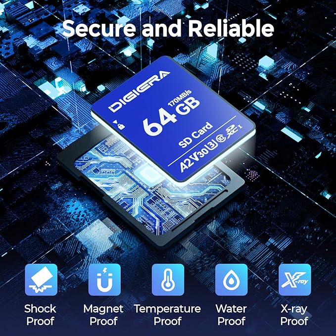 64GB LS100 SDXC UHS-I Memory Card - up to 170MB/s, C10, U3, V30, 4K UHD, SD Card for Computers, Digital Cameras, Home Theatre Devices, Car Navigation Systems (1 Pack)