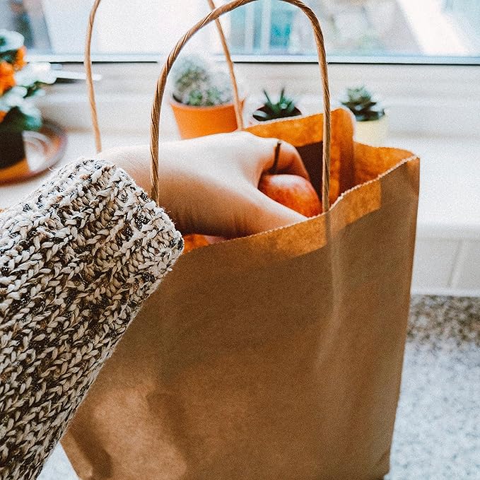 JET PAPER BAGS - 8”x4”x9” Inch [100 Pcs] Brown Paper Bags with Handles Prime for Takeout, Grocery, Goody, Retail, Party, Gifts, Weddings - Recyclable Kraft Paper Gift Bags with Handles
