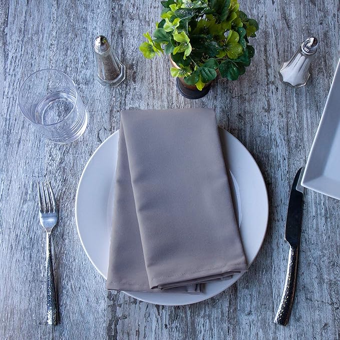 Arkwright Restaurant Cloth Napkins - (Pack of 25) Spun Polyester Dinner Napkin with Hemmed Edges - Ideal for Dinner, Wedding, Party, Banquet, Kitchen, 20 x 20 in, Chambray Grey